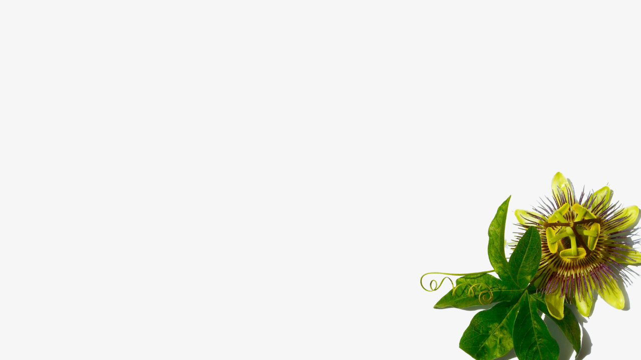 ingredients-image
