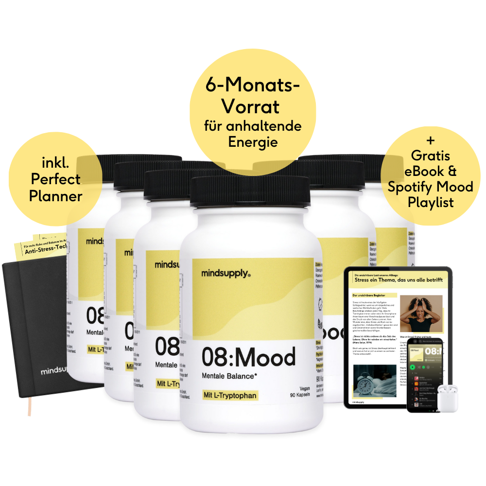 6x mindsupply Mood + Perfect Planner, Ebook & Playlist (Gratis Versand)