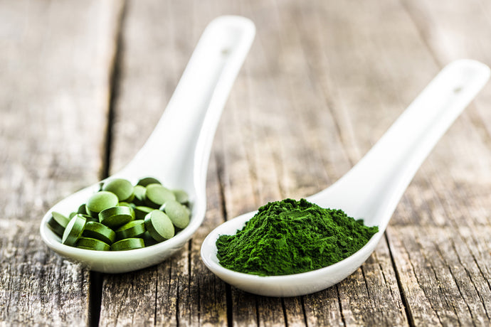 Chlorella Alge – die gesunde und entgiftende Mikroalge