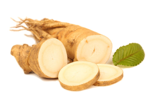 Panax Ginseng